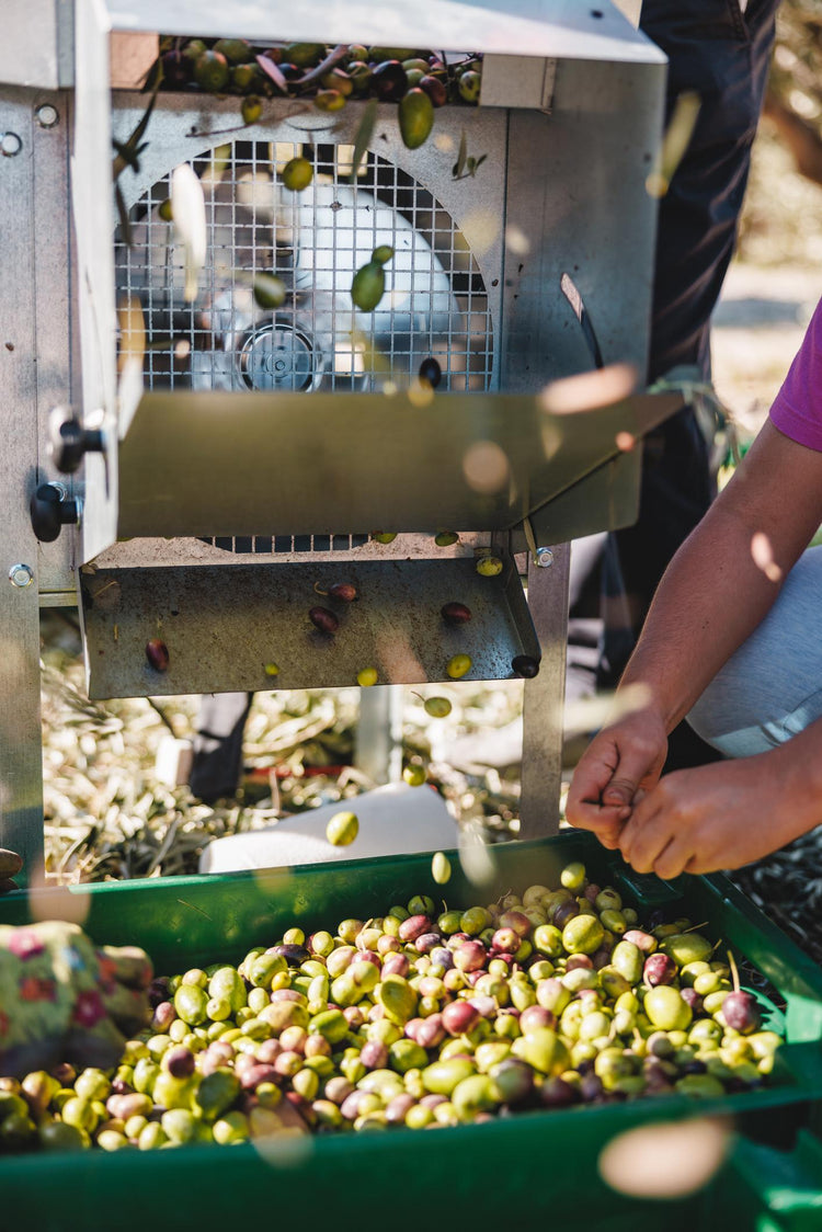 Extra vierge olijfolie van topkwaliteit uit Spanje